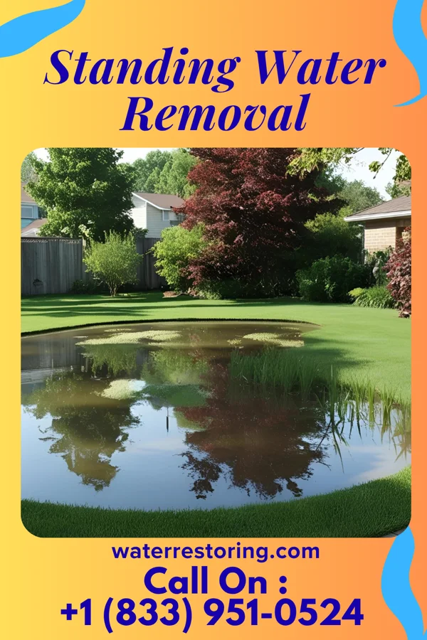 Standing Water Removal in Brooker, FL